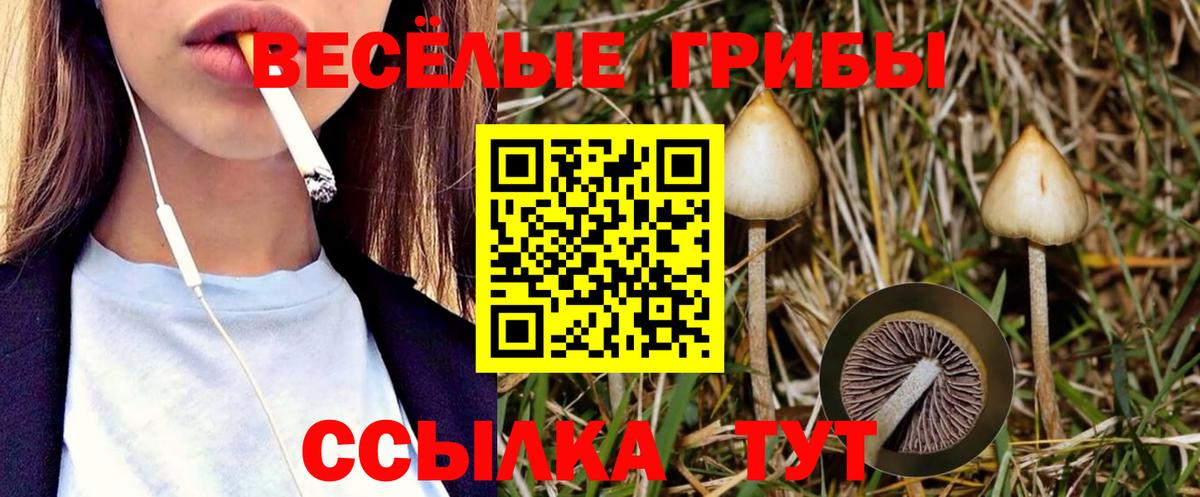 Псилоцибиновые грибы Cubensis Бутурлиновка